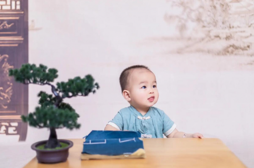 新野孕妇孕期食谱APP